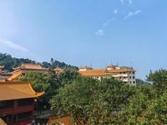 -深圳仙湖植物园