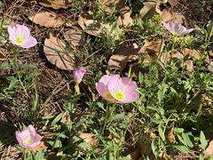 -昆山城市生态森林公园