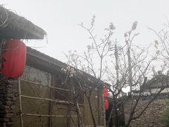 -驿舍·民國老营房院子私房菜(科学会堂店)