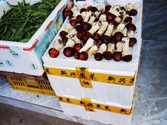 -葑门横街
