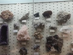 -浙江自然博物院(杭州馆)