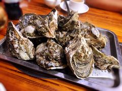 -大富蚝乌东哥饭店·石锅鱼杂·柠檬鸭(革新路店)