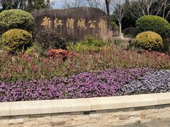 -新江湾城公园