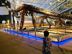 -世界恐龙谷景区