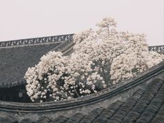 -何园