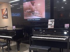 -雅马哈乐器专卖店(广州旗舰店)