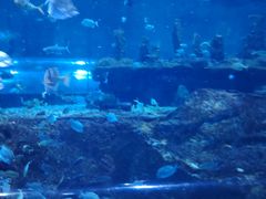 -秦皇岛新澳海底世界