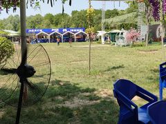 -渭南桃花源民俗文化园