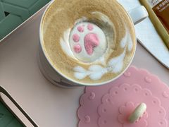 -喵屿·大理花园猫咖