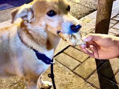 -新疆伊宁远征餐厅