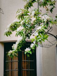 -汾阳花园酒店·宴会厅