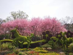 -紫金山索道-售票处