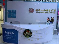 -西安小天鹅艺术团(曲江Alice店)