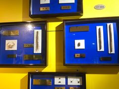 -上海昆虫博物馆