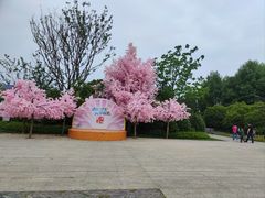 -苏州太湖国家湿地公园