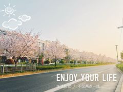 -浦江城市生活广场(江月路店)