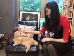 -咖法森林·咖啡  酒吧(天河店)