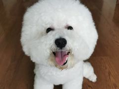 -宠颐生中康贝怡动物医院