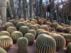 -南山植物园