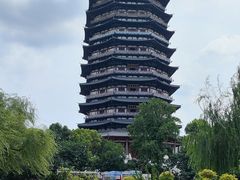 -红梅公园