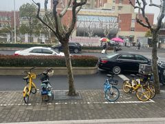 -浦鸿会游泳健身中心·Ambassy Club PD(金桥碧云国际社区店)