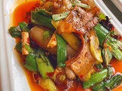 回锅肉-陈麻婆豆腐总店