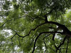 -白帝城·瞿塘峡景区