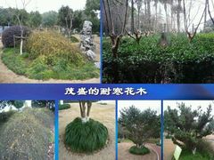 -蟠龙山长城景区