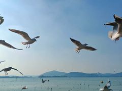 -蠡湖大桥公园