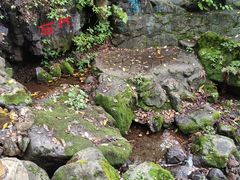 -天女山森林公园