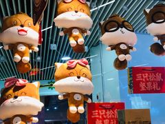 -三只松鼠