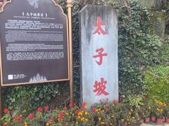 -武当山风景区-太子坡