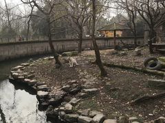 -绿野餐厅(上海动物园店)