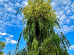 -长春市南湖公园