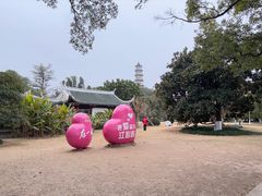 -江心屿景区