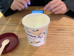 -哈根达斯(陆家浜路店)