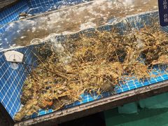 -海月轩海鲜豆捞(紫金塔店)