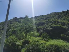 -抱龙峪