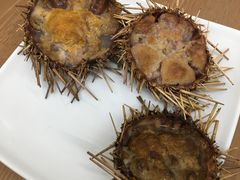 -海胆小馆(东北水饺·春柳店)