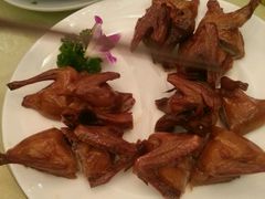 生烧石岐乳鴿皇-祥祺酒店·豪宴酒楼