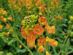 -中国天府农业博览园