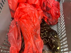 -外滩18号海鲜(三亚湾龙兴海鲜广场店)