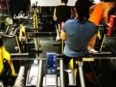 -威尔仕健身(丁香国际店)