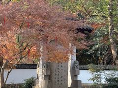 -灵栖洞天