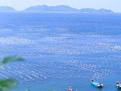 -枸杞岛