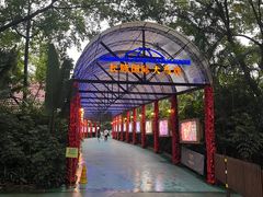 -广州长隆国际大马戏