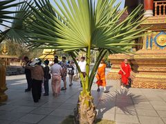 -西双版纳总佛寺
