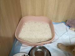 -谐和贝康宠物医院24小时·宠保定点(急重症转诊中心)