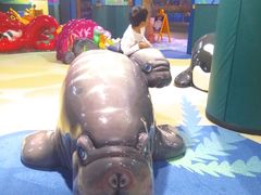 -青岛嘉年华主题乐园