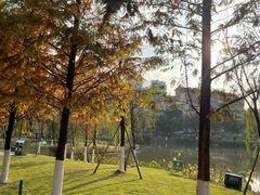 -沐仙湖湿地公园